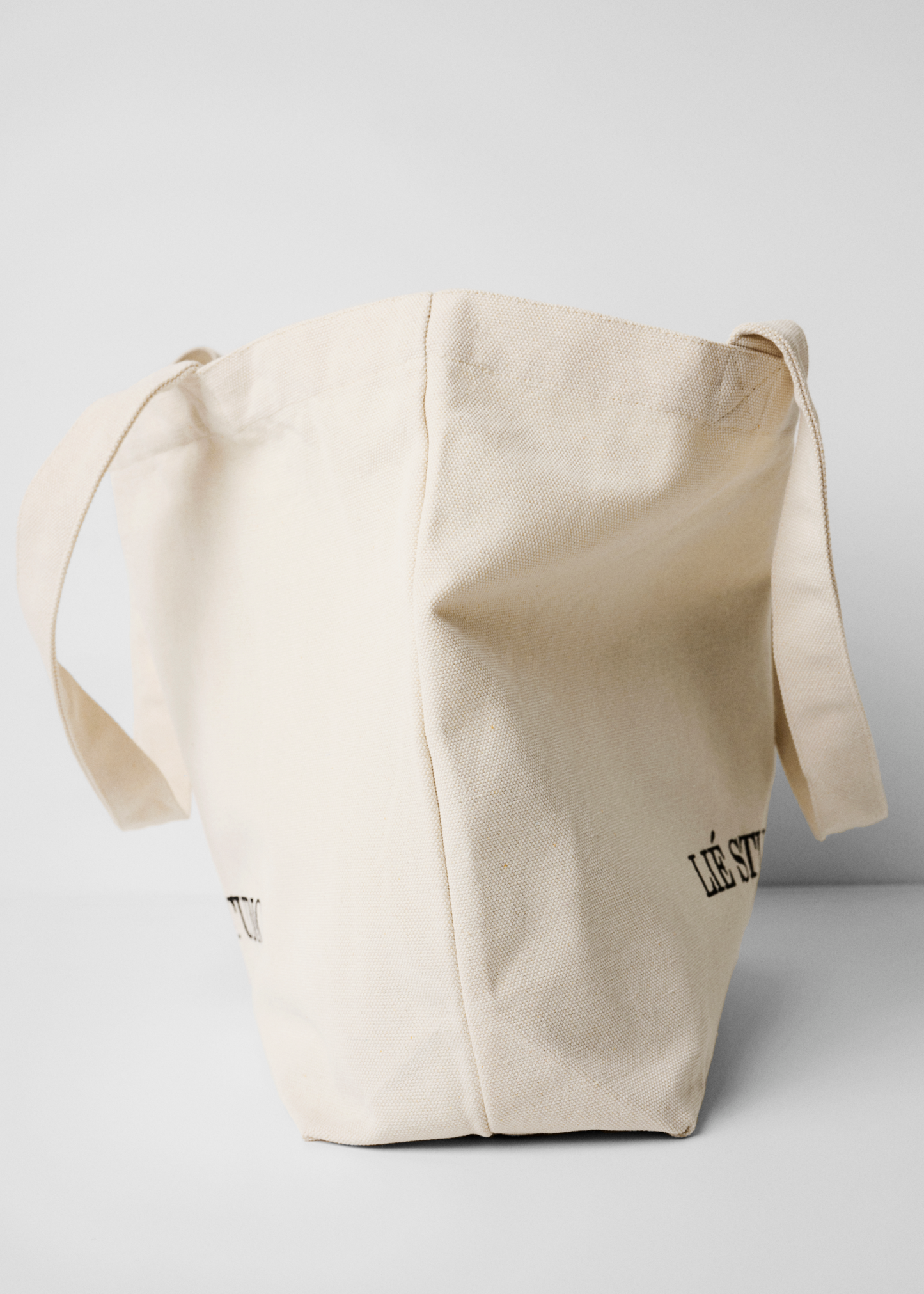 The Canvas Tote Bag